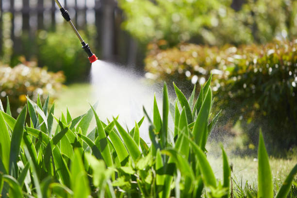 24/7 Emergency Ant Control experts in Mountainair, NM